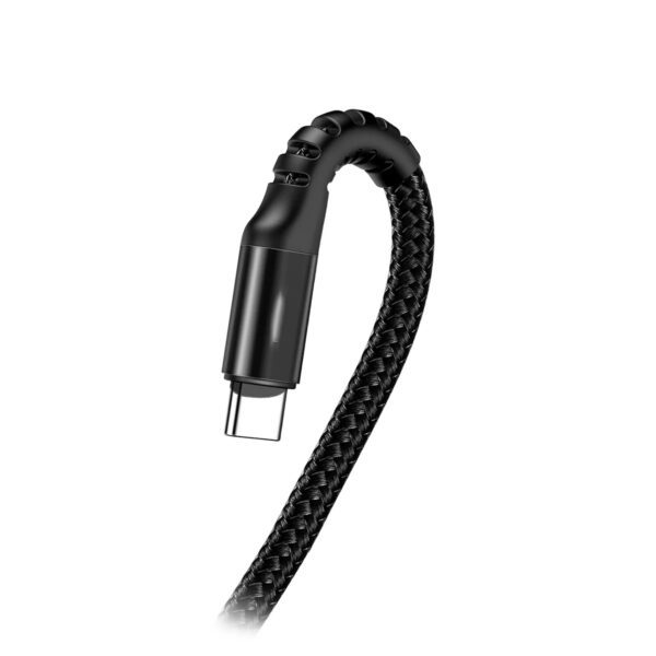 OEM Fish Eye USB-C Spring Cable 2A 3.3 ft