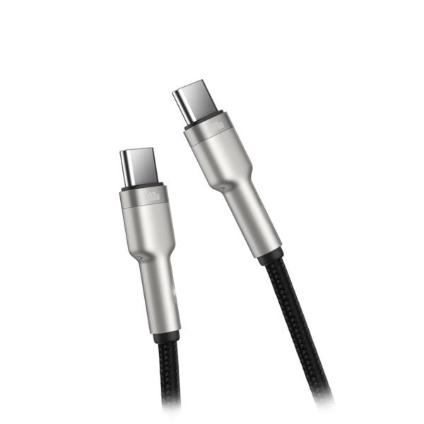 OEM USB-C to USB-C Cable 100W